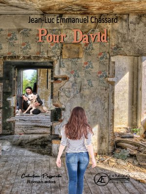 cover image of Pour David
